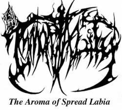 The Aroma Of Spread Labia
